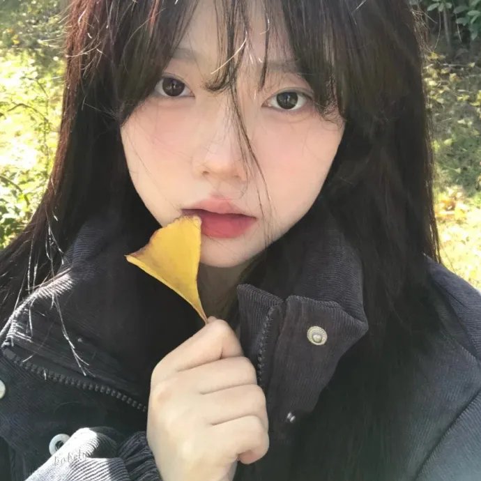在暴雪时分