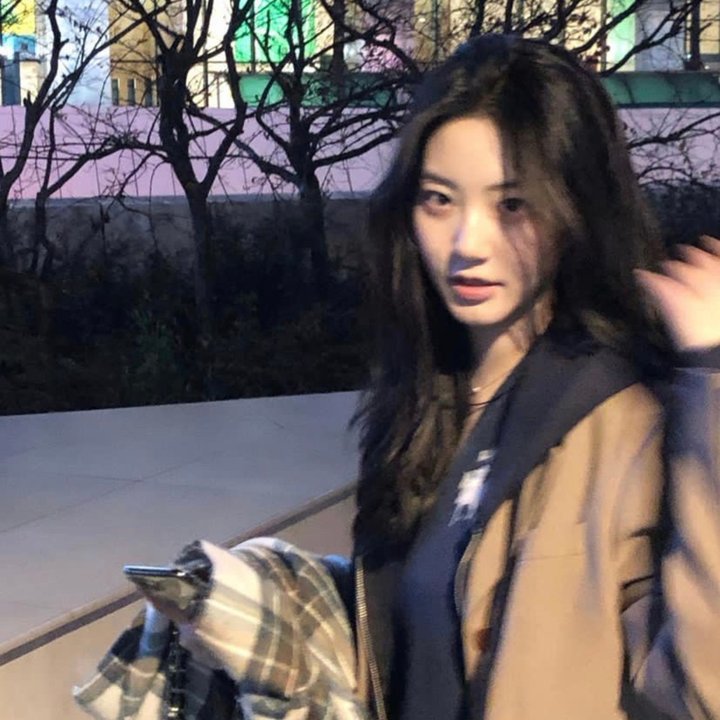 小夜莺
